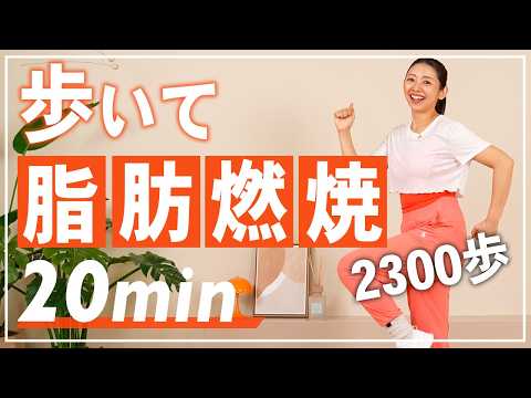 【20分室内ウォーキング】自宅でできる有酸素運動で運動不足解消！約2300歩歩ける！おうちでテレビを見ながらOK！【室内散歩】 thumbnail