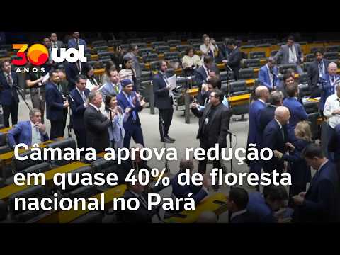 Câmara aprova redução em quase 40% de floresta nacional no Pará; veja vídeo thumbnail