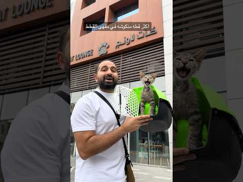 القطه المنكوشه النادره? thumbnail