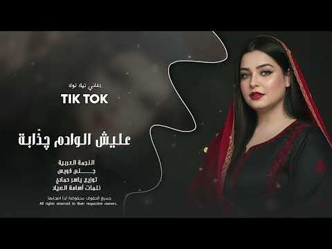 عليش الوادم كذابة  طرب الطرب ترند تيك توك 2026 مطلوب أكثر شيء thumbnail