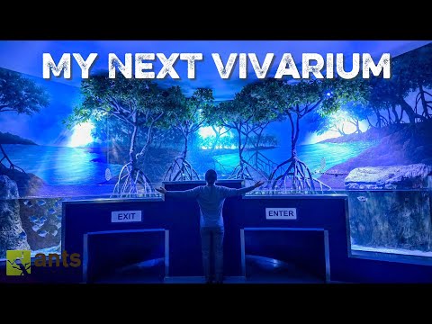 Addressing My Next Giant Vivarium - Tour of the Marassi AQUARIUM ZOO (Bahrain) thumbnail