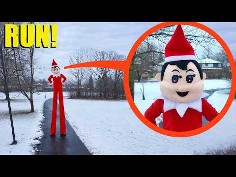 If you ever see the Tall Elf on the Shelf on Christmas Day, RUN AWAY FAST! (He is bad) thumbnail
