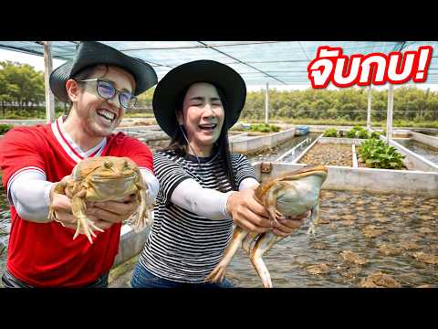 เราบุกฟาร์มกบยักษ์!! แข่งจับกบ ใครจะชนะ?! thumbnail