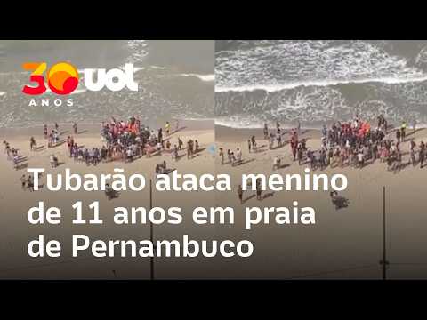 Menino de 11 anos é atacado por tubarão em praia de Pernambuco thumbnail