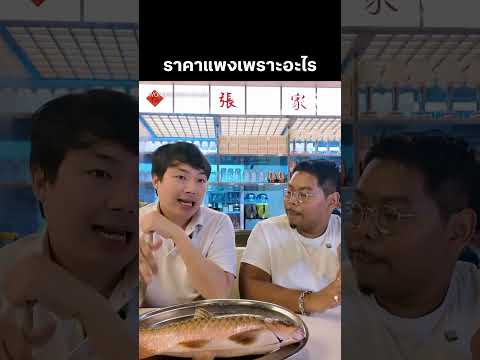 WONDER FISH I วิชาปลา thumbnail