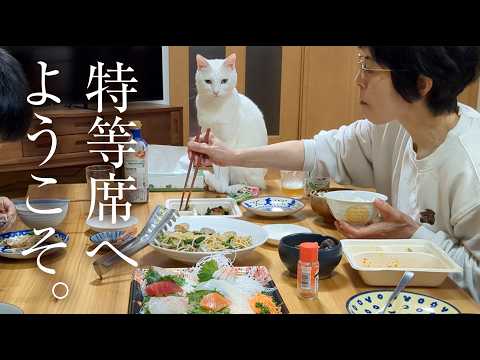 我が家の夕食へようこそ。シロと一緒にご飯を食べませんか？ thumbnail
