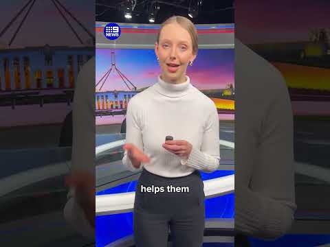 Major overhaul to jobseeker payments | 9 News Australia thumbnail