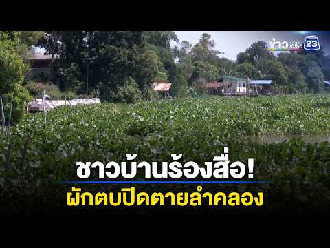 ชาวบ้านปทุมฯร้อง ผักตบปิดตายคลองประปาเก่า l ข่าวเที่ยงเวิร์คพอยท์ l 1 มิ.ย.69 thumbnail