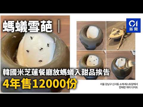 【01秒看新聞】螞蟻雪葩｜韓國米芝蓮餐廳放螞蟻入甜品挨告　4年售12000份｜01新聞｜韓國｜米芝蓮｜螞蟻｜雪葩 thumbnail