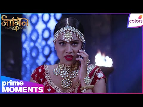 Naagin S4 | Highlights | Ep. 15 | Brinda’s Deadly Trap! Parekh Family In Danger | Colors TV thumbnail
