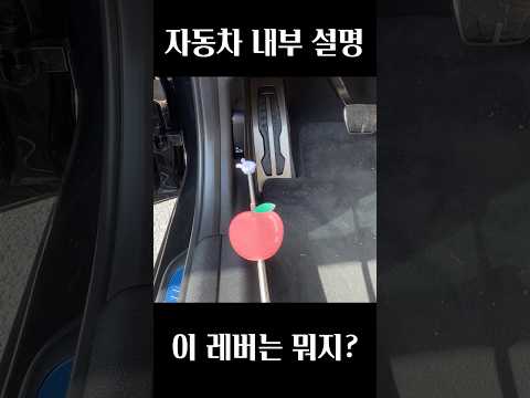 필수 자동차 내부 설명 thumbnail