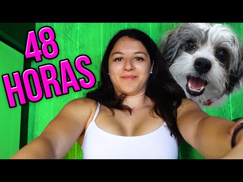 48 Horas con la PERRA de NATALIA en una CASA RODANTE thumbnail