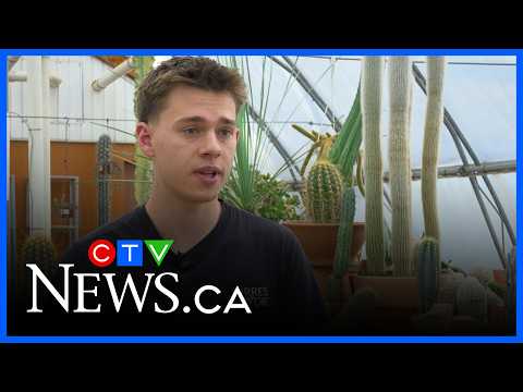Illegal plant trading on the rise in Quebec thumbnail
