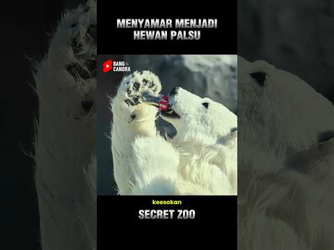 KISAH KOCAK DIBALIK KEBUN BINATANG PALSU thumbnail