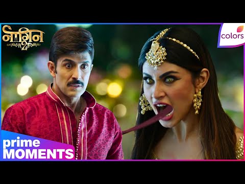 Naagin S2 | Highlights | Ep. 17 | Shivangi’s Deadly Revenge! Vikram’s Final Breath | Colors TV thumbnail