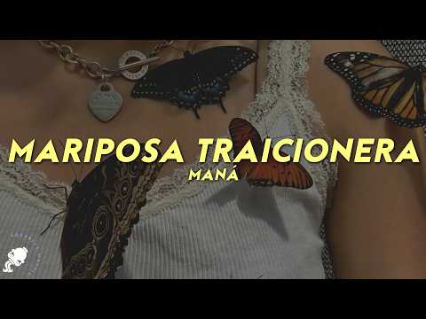 Maná - Mariposa Traicionera (Letra) thumbnail