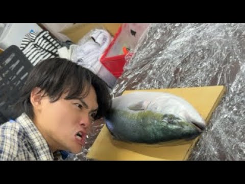 魚の解体ショー！！！ thumbnail