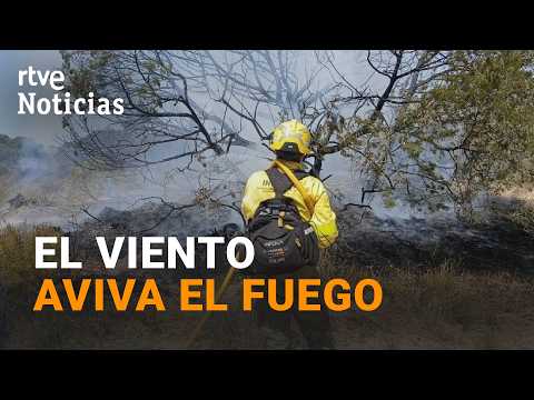 El INCENDIO en DOÑANA ya ha QUEMADO más de 330 HECTÁREAS | RTVE Noticias thumbnail