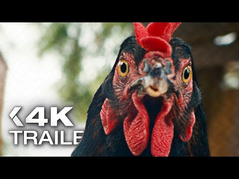 LEBENSANSICHTEN EINES HUHNS Trailer German Deutsch (2026) thumbnail