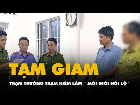 Hạt trưởng kiểm lâm lén báo tin cho chủ tiệm bán chim để tẩu tán khi có đoàn kiểm tra thumbnail