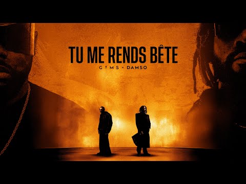 GIMS & DAMSO - TU ME RENDS BÊTE (Official Lyrics Vidéo) thumbnail