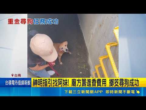 找到了! 飼主懸賞20萬找愛犬 "阿妹"困水洞獲救 飼主履行承諾 20萬獎金轉帳完成｜記者 陳俞安 王紹宇｜新聞一把抓20260528｜三立新聞台 thumbnail