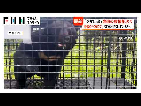クマ被害か　東京・奥多摩町で遺体　八王子市は“クマよけ鈴配布”…出没情報「くまログあおもり」に“300頭を目撃”など相次ぐ虚偽投稿　県「厳正に対処」（2026年05月19日） thumbnail
