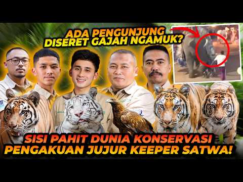 SISI PAHIT DIBALIK KONSERVASI SATWA LIAR! TERLEMPAR DARI GAJAH SAMPE KAKI SOBEK KARENA BABI RUSA! thumbnail