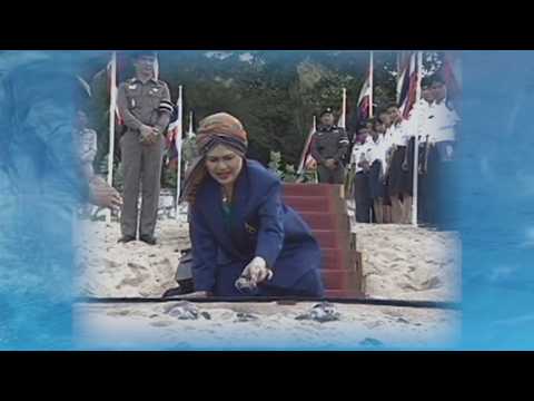สารคดีพิเศษ พระพันปีหลวง ในดวงใจ ตอนที่ 156 thumbnail
