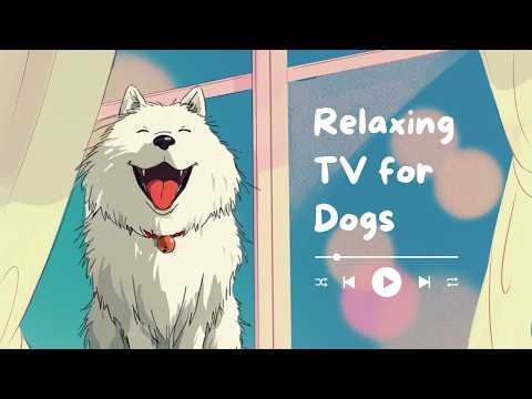 Virtual Nature Adventures for Dogs Enjoying Indoor Walking Experiences thumbnail