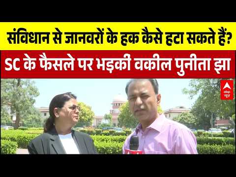 Stray Dogs Case Verdict: SC के फैसले पर भड़कीं वकील Punita Jha | Breaking thumbnail