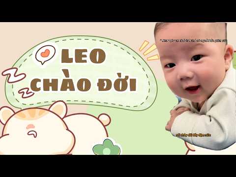 TỔNG HỢP - LEO CHÀO ĐỜI | LongLinhfamily #longlinhfamily thumbnail