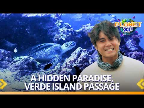 Planet XP: The beauty of Verde Island Passage needs our protection! thumbnail