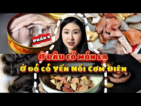 [FULL TỔNG HỢP 8] ‼️Series Món Độc Lạ Bình Dương : Hong Lạ Thì Đi Về 😤|| Yến Nồi Cơm Điện  thumbnail