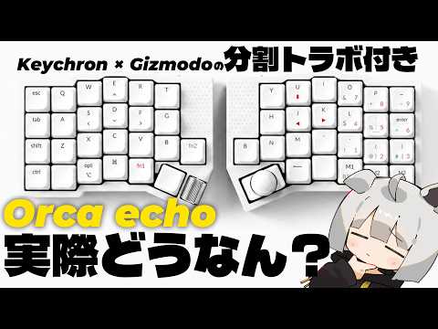 自作キーボード沼の住人がOrca echoをエアプで語る動画 thumbnail