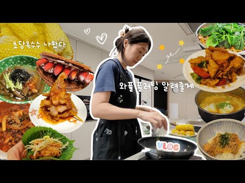 [ENG 집밥 브이로그] 식비가 더 드네? 양꼬치 쿨타임 ㅣ초당옥수수의 계절ㅣ대패삼겹살 덮밥ㅣ낙지볶음ㅣ잡채ㅣ동그랑땡ㅣ깻잎전ㅣ와플ㅣ악취 집착 고양이ㅣ와플 플러팅 thumbnail