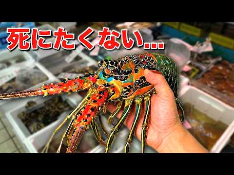 スーパーに売れ残っていた化け物を飼育してみると… thumbnail