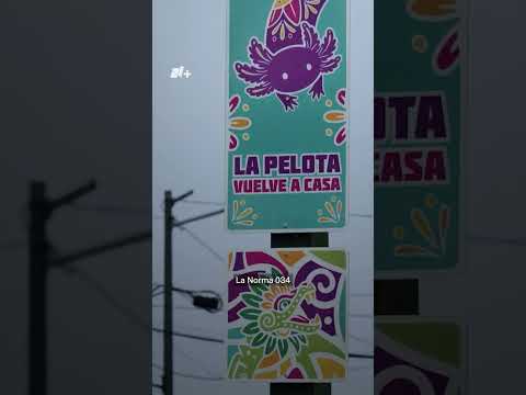 ¿Cuánto costó la “ajolotización” de CDMX? thumbnail