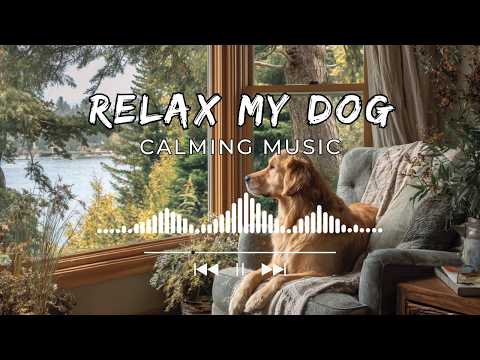 2 HOURS of Dog Relaxing Music 💖🦮 Bedtime Relaxing Music to Calm Dogs Gently thumbnail