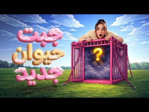 ما رح تتوقعوا شو جبت حيوان 😳 thumbnail