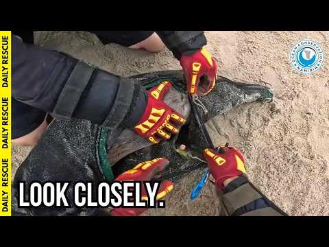 We Found What Fishermen Left Behind (Heartbreaking) thumbnail