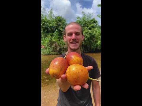 This Fruit Looks Like A Dinosaur Egg thumbnail