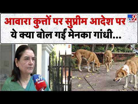 Supreme Court On Stray Dogs: आवारा कुत्तों पर सुप्रीम आदेश पर ये क्या बोल गईं Maneka Gandhi... thumbnail