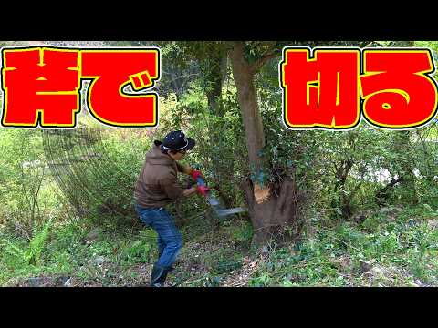 【山復興第2弾#103】大木を斧で切り倒す！？ thumbnail