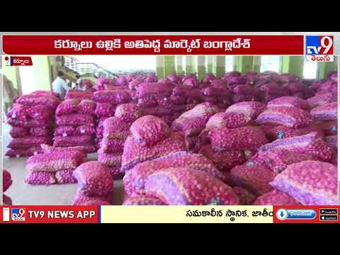 Onion Prices Crash : బంగ్లాదేశ్ దిగుమతులు ఆపేయడంతో భారీగా పడిపోయిన ధరలు - TV9 thumbnail