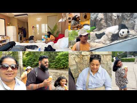China Vlog 5 - Mahi Turned Cook of the Day in China - Beijing Zoo, Aquarium is worth thumbnail