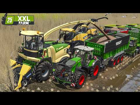 Diese XXL-Pappelernte verändert ALLES! | XXL Farm #61 | FARMING SIMULATOR 25 thumbnail
