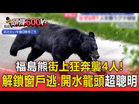 太聰明！日熊攻擊4人「中麻醉更亢奮」！解鎖窗戶逃跑、開水龍頭喝水【頭條600秒】 thumbnail