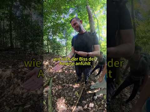 Ich hab im Dschungel V***ra genommen ? (versehentlich) thumbnail