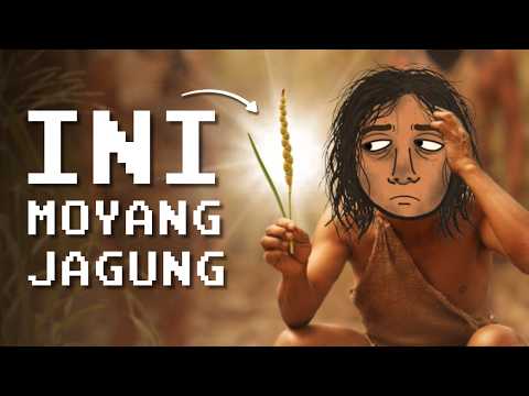 Jagung: Tanaman yang Punah Tanpa Manusia thumbnail